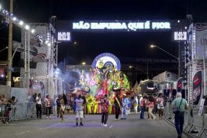 Até 3 de março, 67 agremiações filiadas à entidade vão desfilar