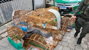 Foto: Divulgação/PMG