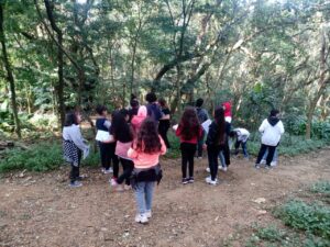 Trilha das Árvores no Zoológico de Guarulhos com atividades ambientais gratuitas