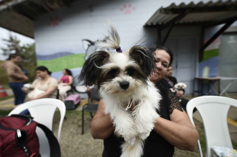 Castra Pet Móvel Guarulhos