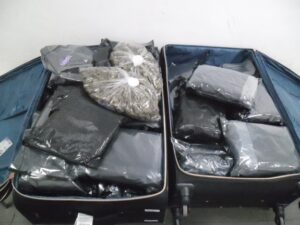 Polícia Federal detém foragido e apreende 21 kg de skunk durante operação no Aeroporto de Guarulhos
