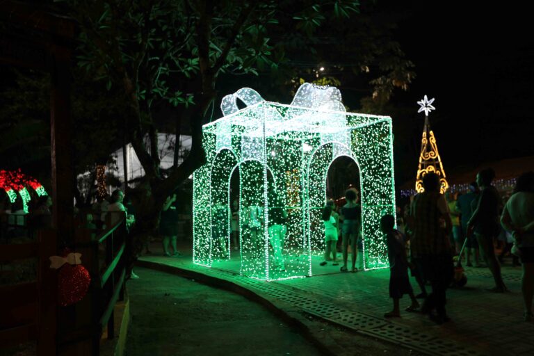Iluminação de Natal em parque público de Guarulhos durante inauguração