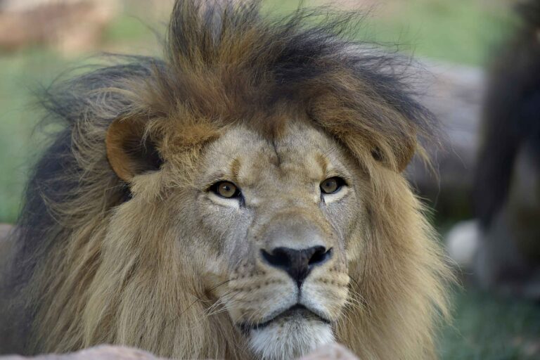 Estudantes participam de atividades de estágio no Zoológico de Guarulhos