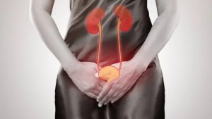 Ilustração dos rins destacando infecção urinária avançada e pielonefrite