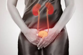 Ilustração dos rins destacando infecção urinária avançada e pielonefrite