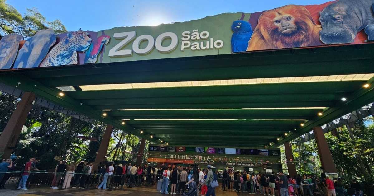 Visitantes caminhando pela passarela de madeira da Trilha da Nascente no Jardim Botânico de São Paulo