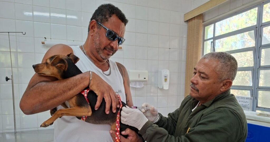 Veterinário aplica vacina antirrábica em cachorro no Centro de Controle de Zoonoses de Guarulhos