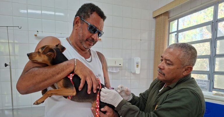 Veterinário aplica vacina antirrábica em cachorro no Centro de Controle de Zoonoses de Guarulhos