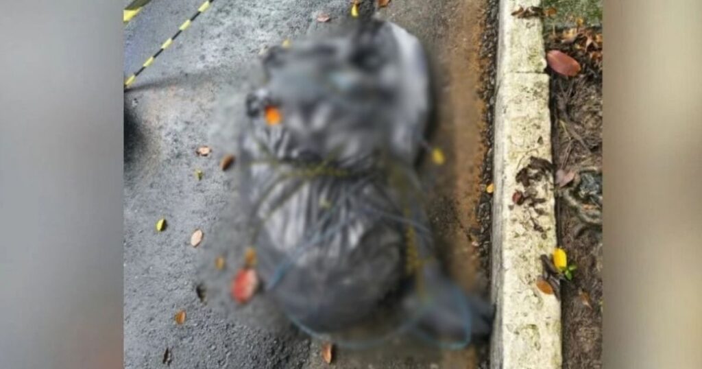 Corpo encontrado em local de ocorrência na cidade de São Paulo