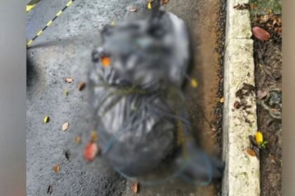 Corpo encontrado em local de ocorrência na cidade de São Paulo