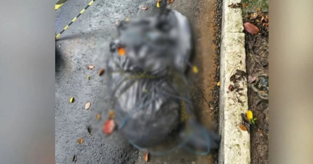 Corpo encontrado em local de ocorrência na cidade de São Paulo